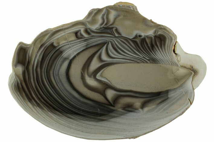 Polished, Striped Flint Slab - Poland #227601